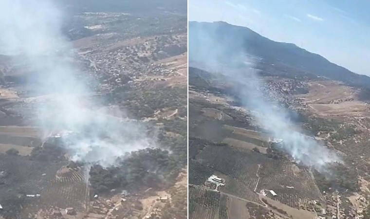 İzmir'de orman yangını