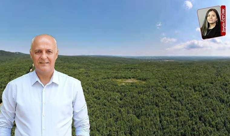 İnşaatlara da izin