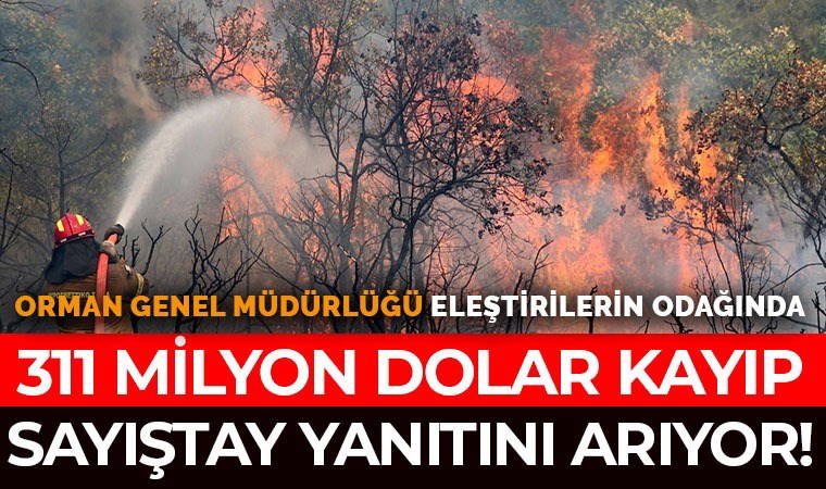 CHP'li Mahir Polat Orman Genel Müdürlüğü'ne 311 milyon doları sordu