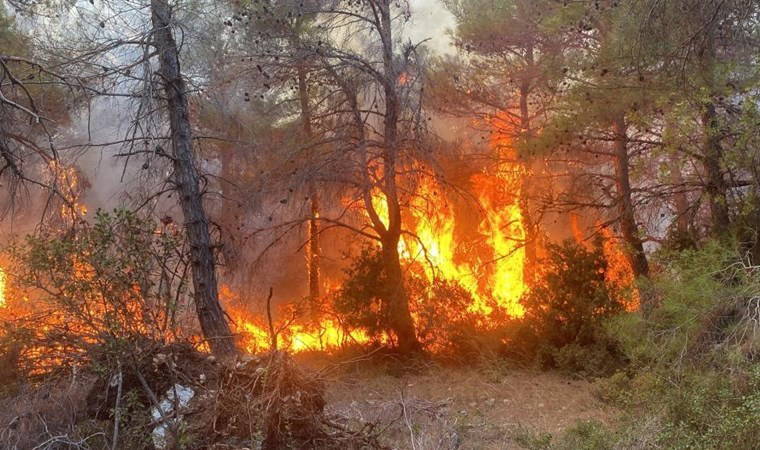 Çanakkale’de orman yangını... Ekipler müdahale ediyor