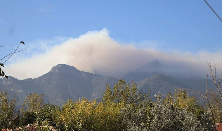 Denizli'de orman yangını ikinci gününde