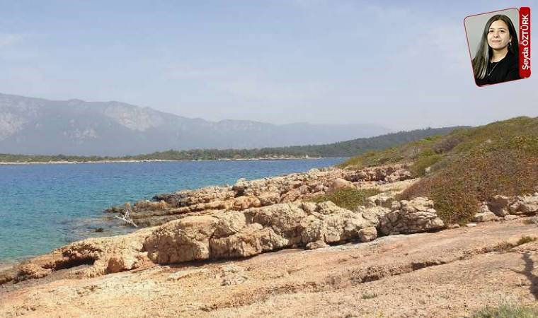 Orman varlıklarının içerisinde yapılaşma sürüyor