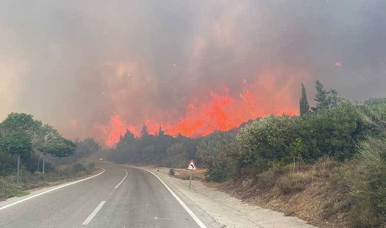 Yangın riski gerekçe gösterildi: 30 Kasım'a kadar ormanlara giriş yasak