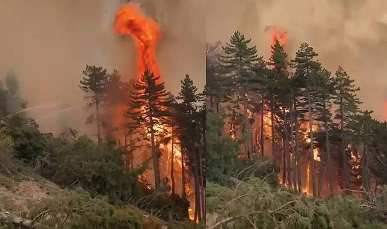 Denizli'de orman yangını altıncı gününde neden söndürülemiyor? Örtü yangını nedir?