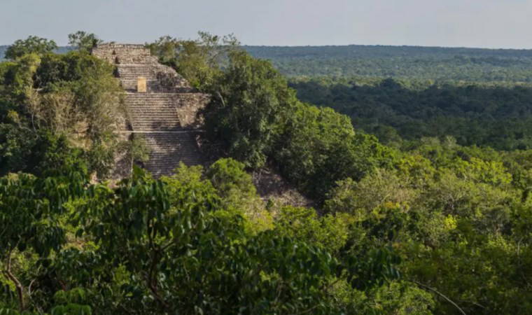 Meksika'da yaklaşık 1300 yıllık Antik Maya kenti 'tesadüfen' keşfedildi