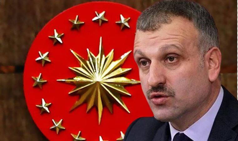Diziler, programlar, oyunlar...