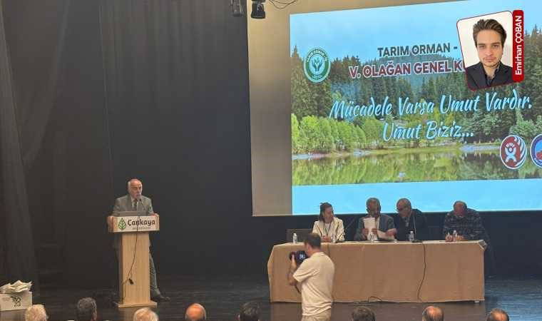 Şükrü Durmuş, "Ormanlar yanıyor, birileri elini ovuşturuyor" tepkisini gösterdi