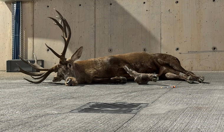 Sosyal medyada gündem olmuştu...