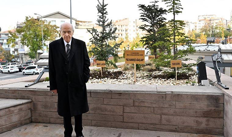 MHP 'Biz kardeşiz' ağaçları dikti: Matematik hesabı ile süreç mesajı