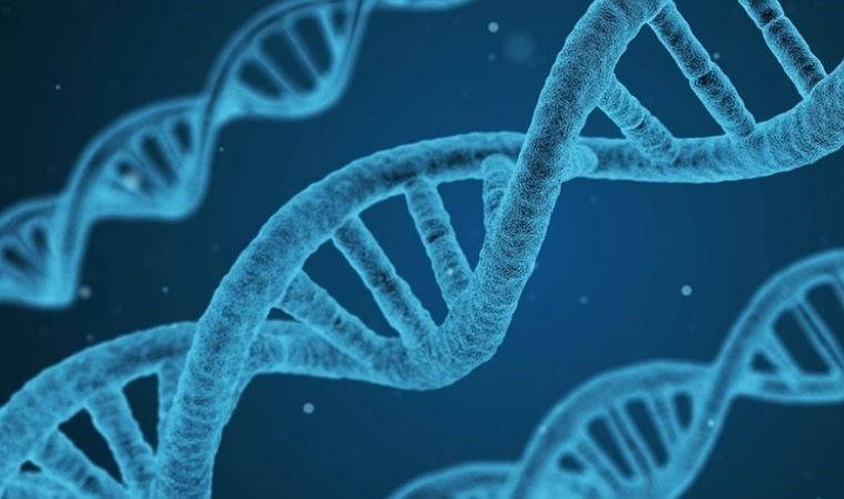 Türklerin genetik kodları ortaya çıktı! 81 şehirden 4 bin kişinin DNA'sı incelendi