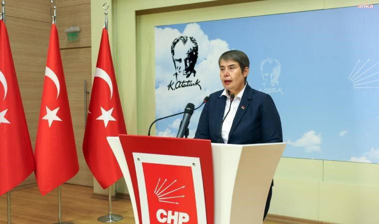 CHP'li Zeliha Aksaz Şahbaz: Ülkemizde 9.5 milyon tedavi altında diyabet hastası var, sayı her geçen yıl daha da artıyor