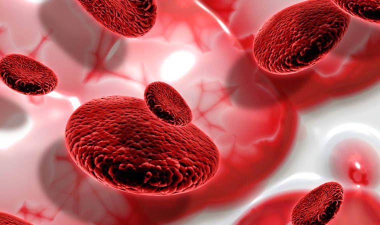 Demir eksikliğine son veriyor, cilde canlılık getiriyor: Anemi belirtileri ve anemiye iyi gelen besinler