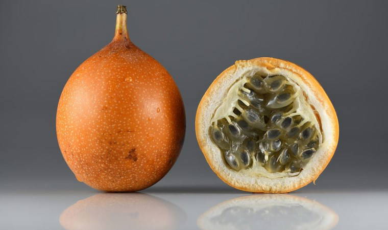 Türkiye'de yetişen tropikal meyveler