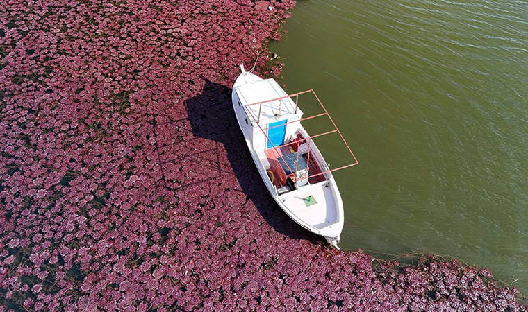Terkos gölünde masalsı sonbahar manzarası