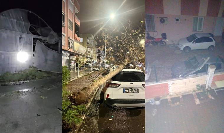 Ağaçlar devirdi, seralar yıkıldı