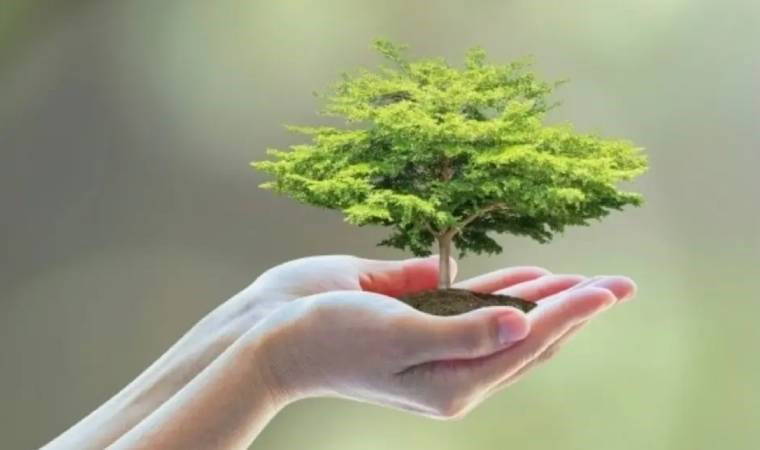 İklim değişikliği ile mücadelede karamsarlık yerine çözüm odaklılığı merkeze almak