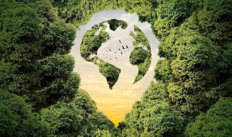 Türkiye’den ve dünyadan çevre gündemi... 27 Kasım 2024 çevre gündemi