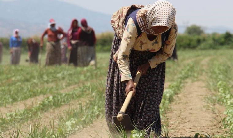 Cumhurbaşkanlığı raporu ortaya koydu