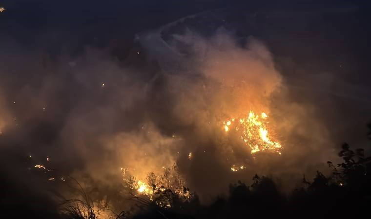 Hatay'da orman yangını: 95 hektarlık alan zarar gördü!