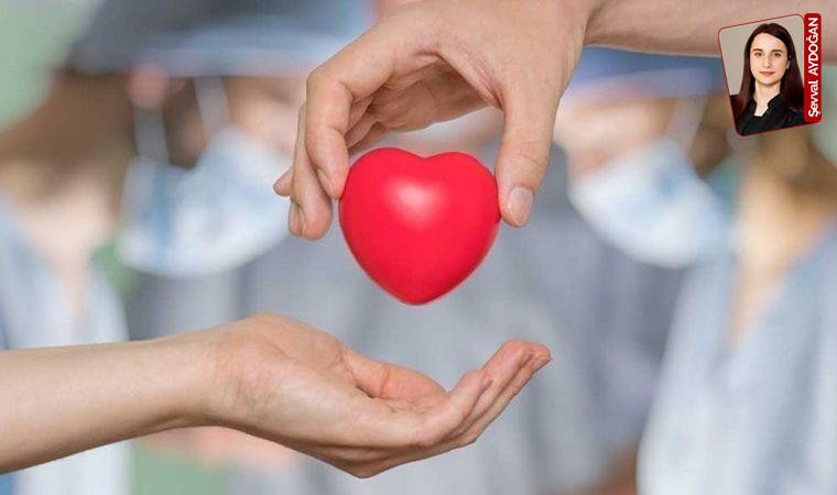 'Toplumda duyarlılık artmalı'