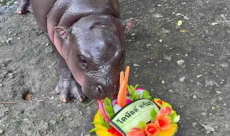 Kamala Harris mi, Donald Trump mı?