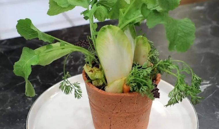 MasterChef "Ben Saksı Değilim" nasıl yapılır? Somer Şef'ten enfes "Ben Saksı Değilim" tarifi...