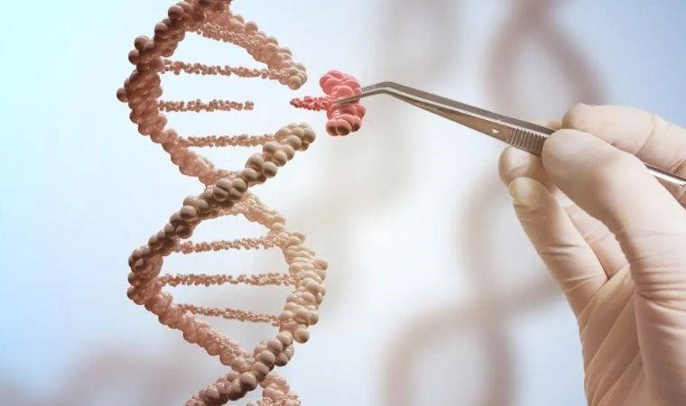 Yaşam süresini yüzde 30 uzatan bir gen keşfedildi