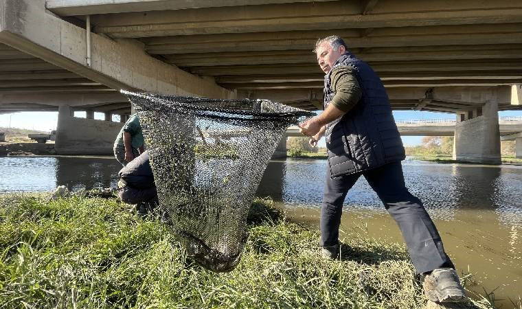 Tehlike sofralara taşınıyor