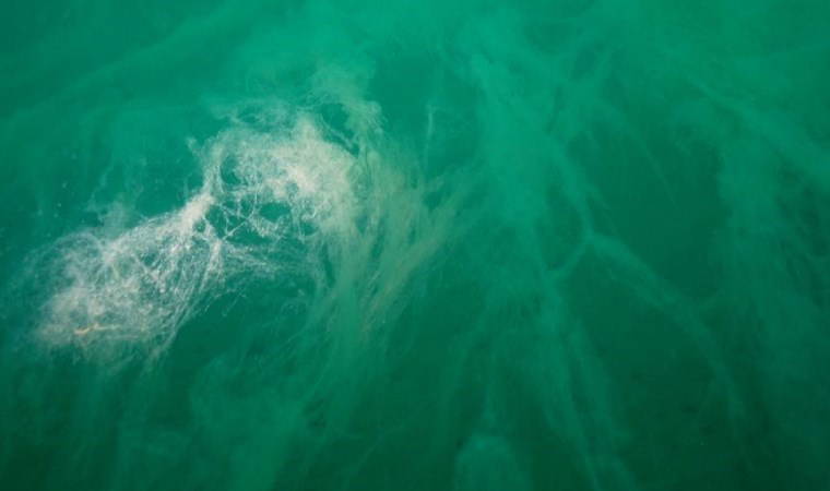 'Yayılma ihtimali çok yüksek'