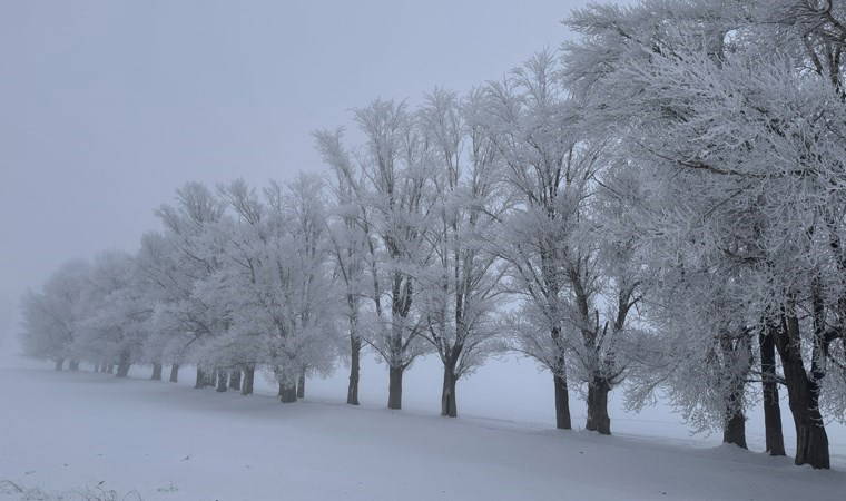 Meteoroloji verilerine göre Türkiye'nin en soğuk ili belli oldu
