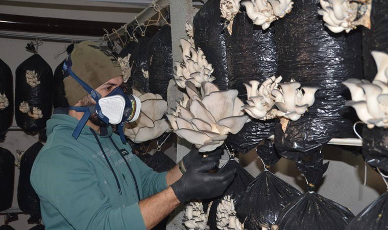 Sosyal medyadan görerek üretmeye başladı! Yılda 2 ton ürün...