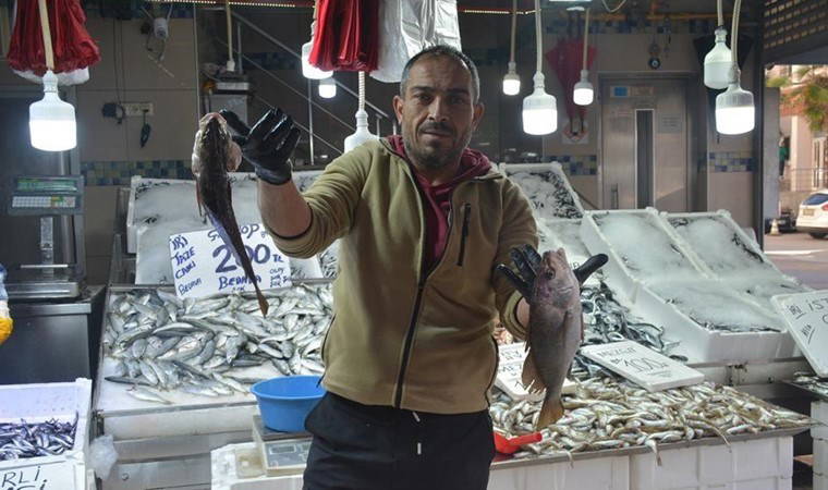 Çok nadir yakalanıyor! Böbrek taşını düşürdüğüne inanılıyor: Kilosu 200 TL...