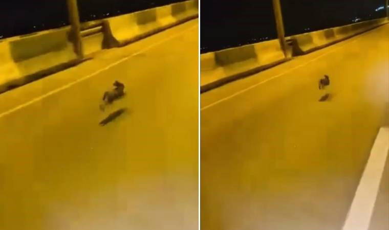 Bursa'da sürücü, otoyolda gördüğü tavşanla yarıştı!