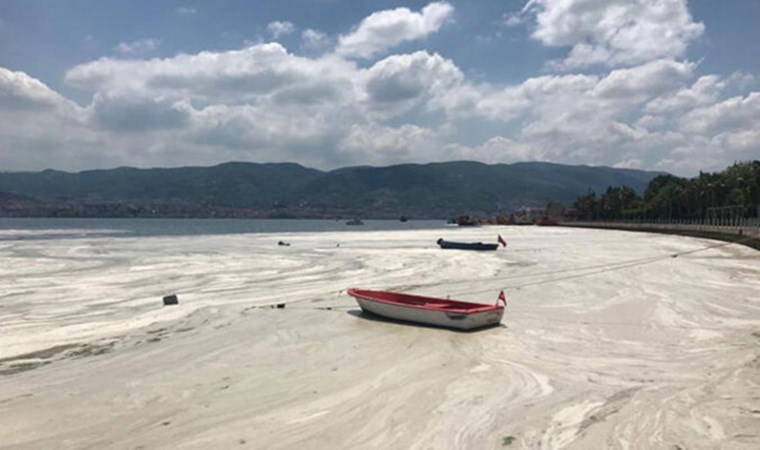 Sosyal medyadan feryat etti