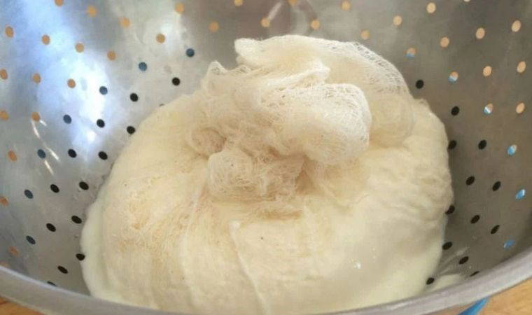 Bir kaşığı etki ediyor: Sütten 30 kat daha fazla kalsiyum içeriyor