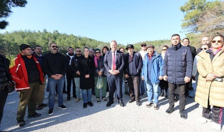 "45 bin ağaç kesilecek"