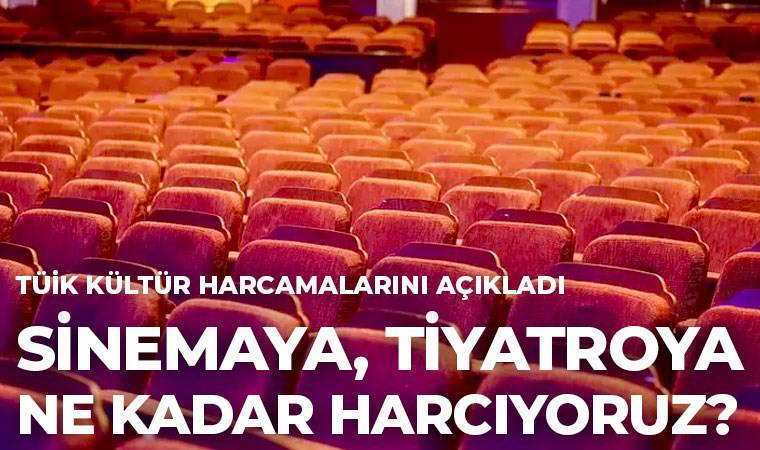 TÜİK: Hanehalklarının kültür harcamalarına göre televizyon kitaptan önce geliyor