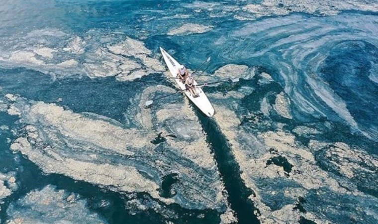 'Örümcek ağı gibi bütün Marmara'yı sardı!'