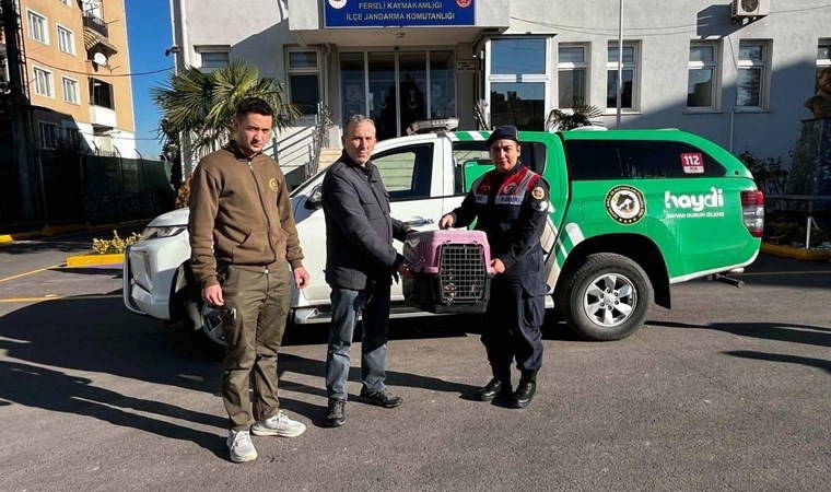 Sakarya'da kaçak avlanan kişiye para cezası