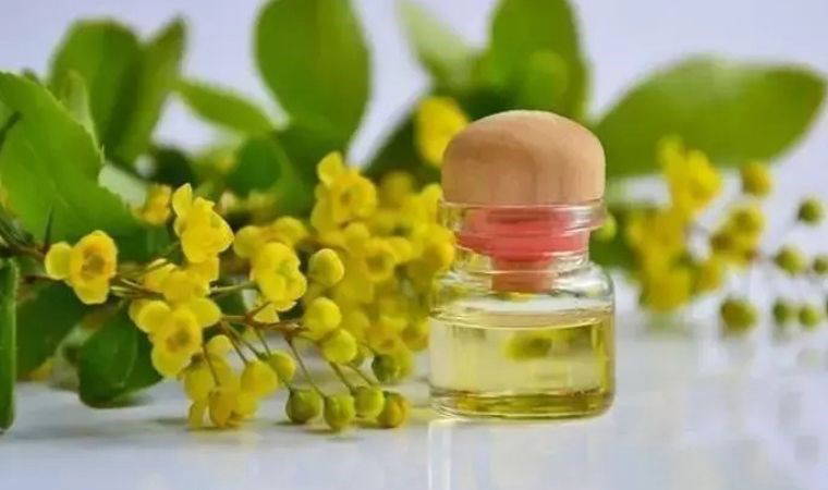 Alman bilim insanları öneriyor: Egzamayı anında bitiriyor