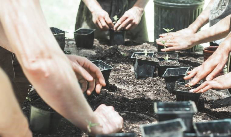 İklim sözlüğü: Yeşil meslek