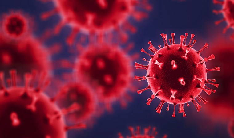 Yılbaşı öncesi salgın riski artıyor: 'Kombo virüs' enfeksiyonlarına dikkat!