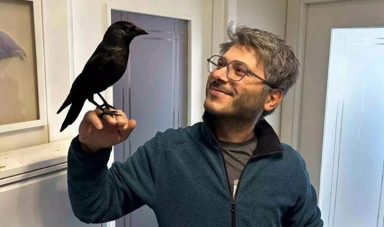 Bu sıra dışı dostluk görenleri şaşırttı: Karga Jackoo kendisini tedavi eden doktorun yanından ayrılmıyor