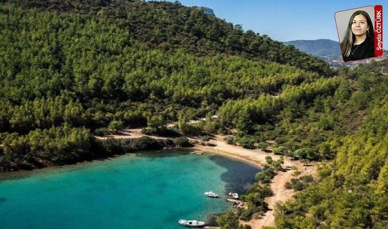 Doğada izinli katliam!