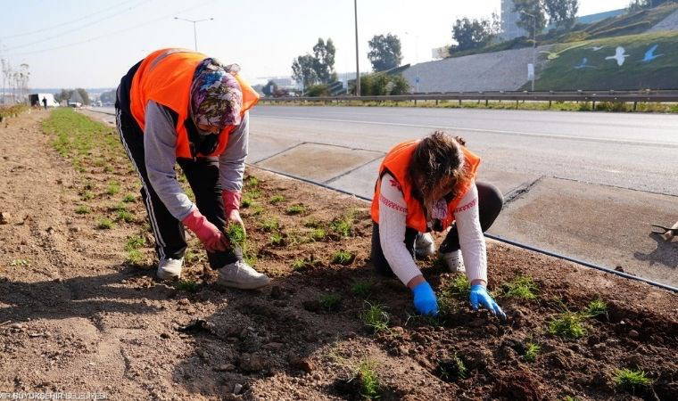 Kuraklığa karşı İzmir’in yeşil örtüsünde dönüşüm