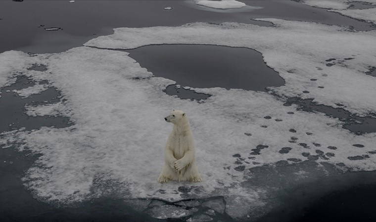 Arktik Okyanusu için kritik uyarı: 2027'de korkutan senaryo...