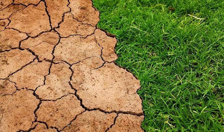 Uzmanlar kötü senaryoyu anlattı: İklim değişikliği 'toprağı' olumsuz etkiliyor