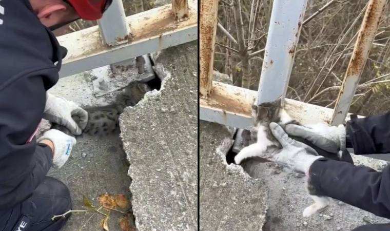 Köprü korkuluğunun altına sıkışan yavru kedi kurtarıldı