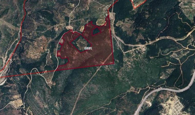 Yenilenebilir enerji adı altında orman katliamı