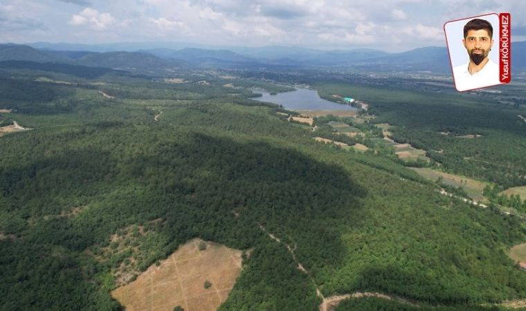 Kaz Dağları’nda “Sağlık turizm” adı altında katliam